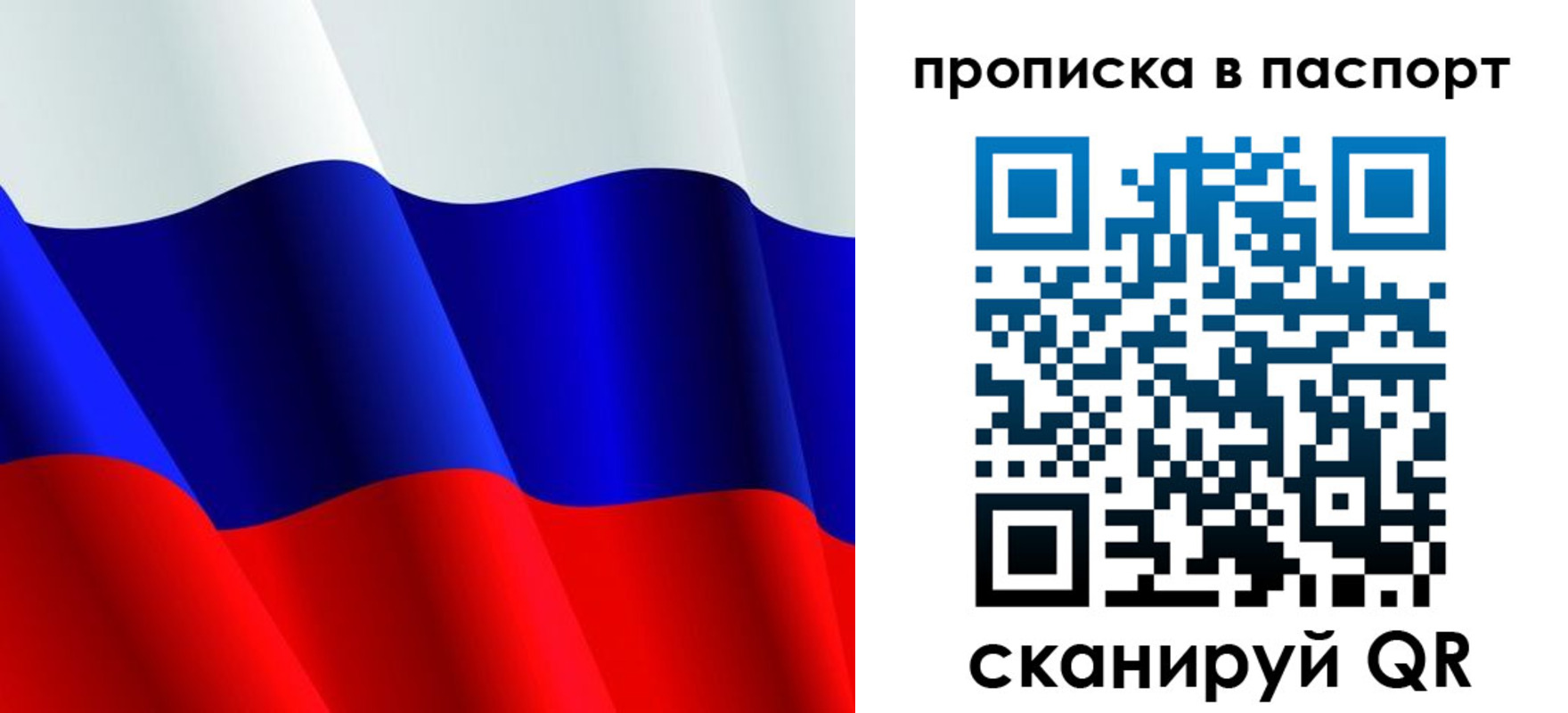прописка в Оленегорске